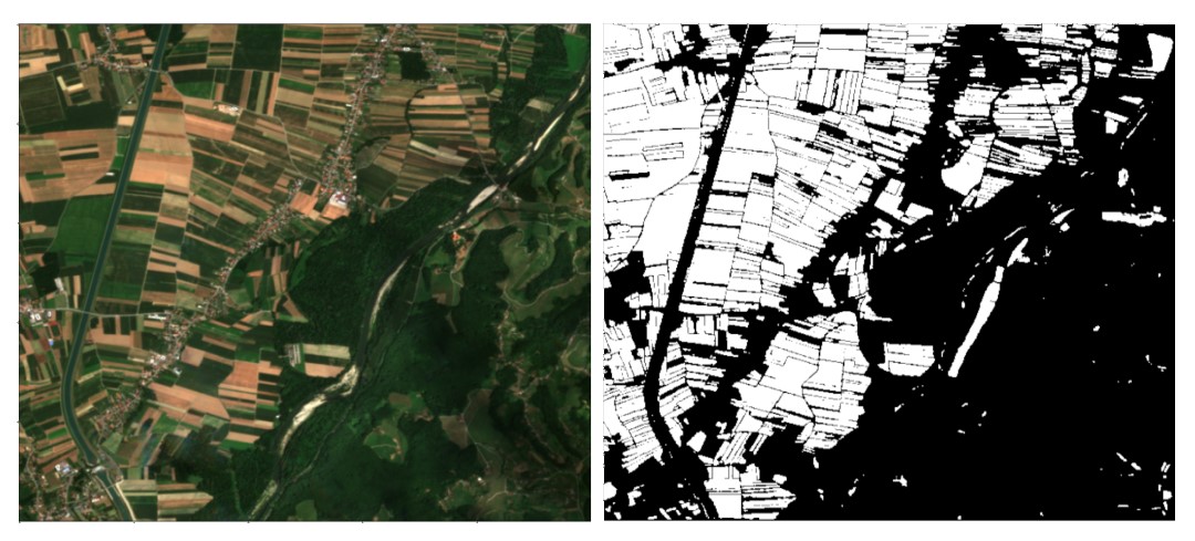 Comparación de la imagen por satélite de Sentinel 2 con el resultado de nuestros modelos de Deep Learning, que permite identificar (en blanco) las áreas cultivadas